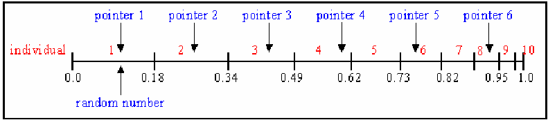 ../_images/Stochastic-universal-sampling.png