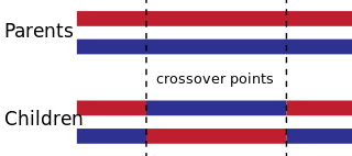 ../_images/TwoPointCrossover.png